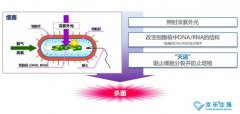 海信中央空調(diào)紫光盾殺菌模塊上市，健康技能加